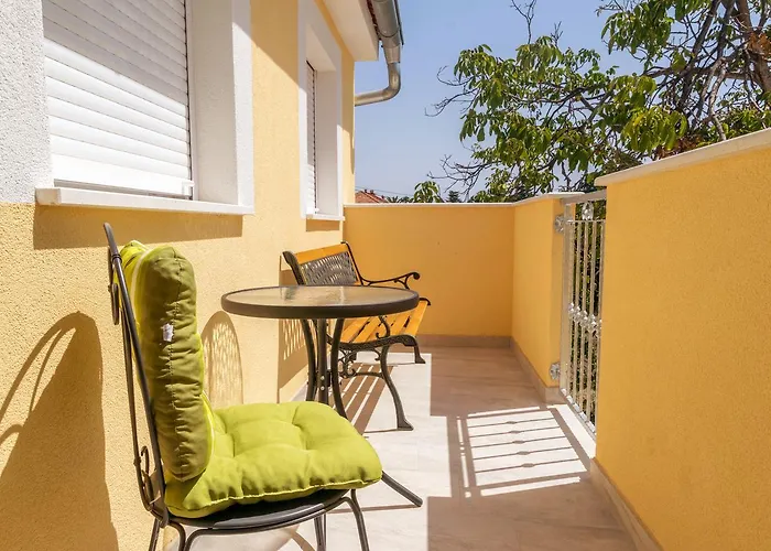 Sea Horse * زادار